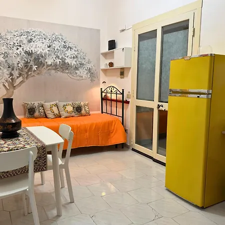 Apartment Orange Lemon Business