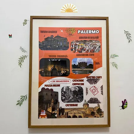 Daire Orange Lemon Business *