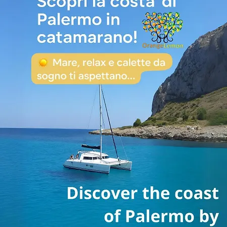 Daire Orange Lemon Business Palermo