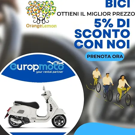 Orange Lemon Business * Palermo